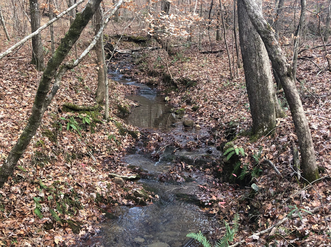 Oak Mountain State Park景点图片