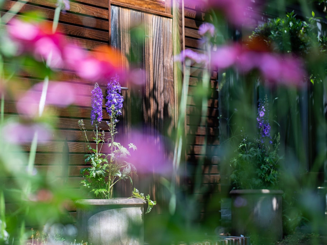 Beeltjens-Bed-Breakfast - Wolf & Belle主图