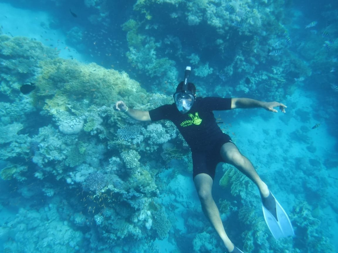 Maro Tours-沙姆沙伊赫必去景点