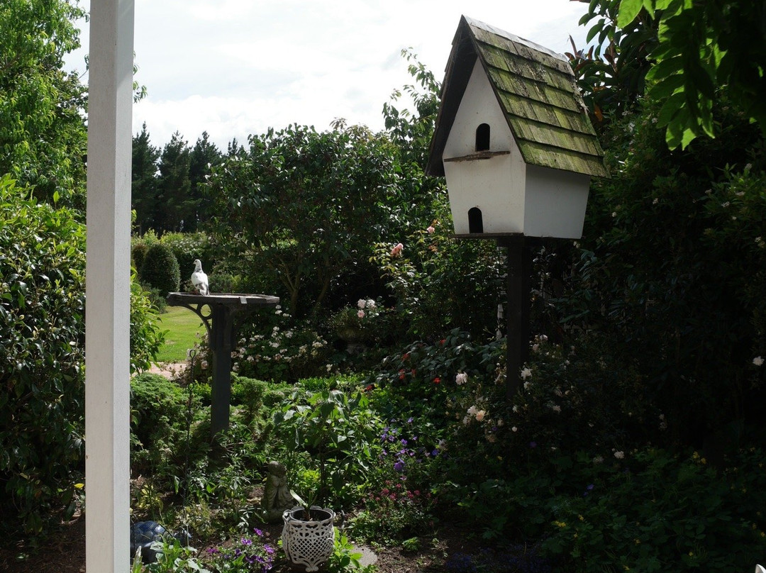 Country Lane Homestay主图