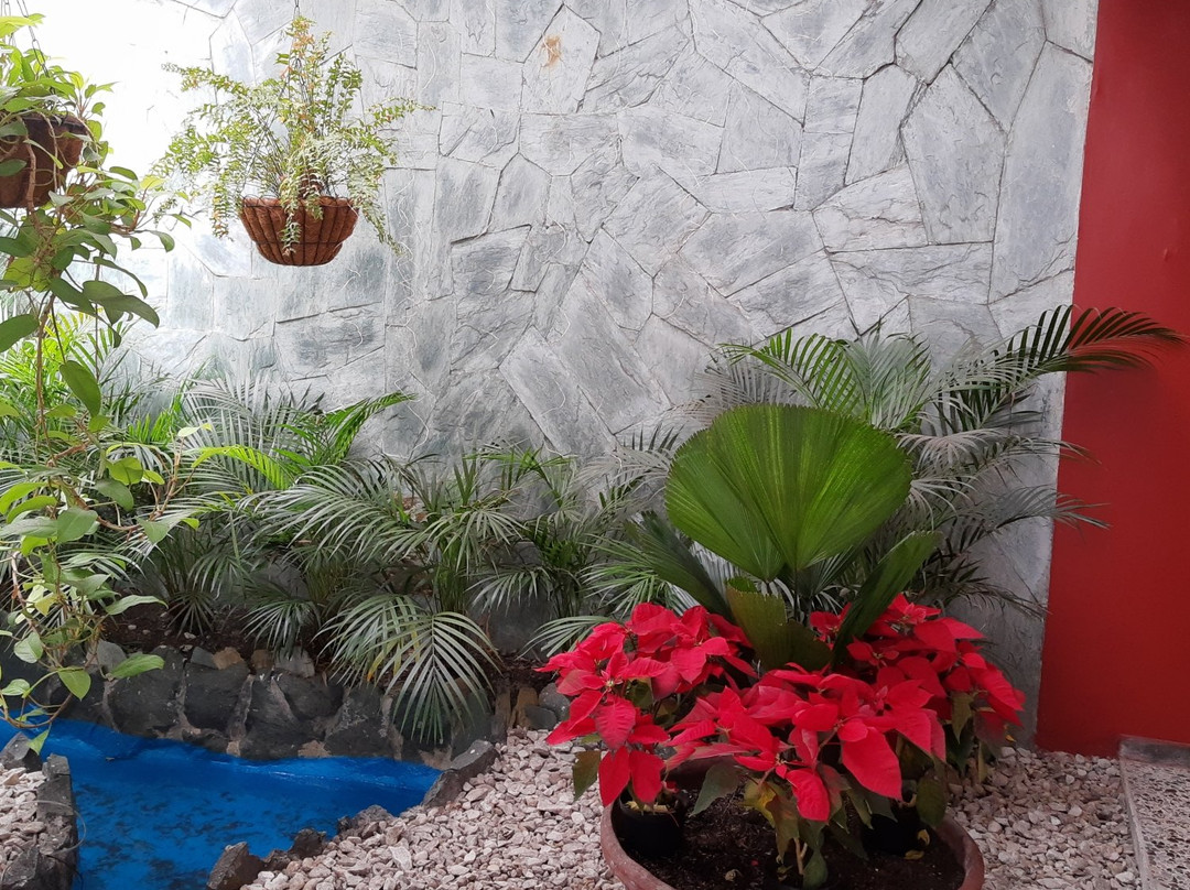 Hotel Stancia Spiwak主图