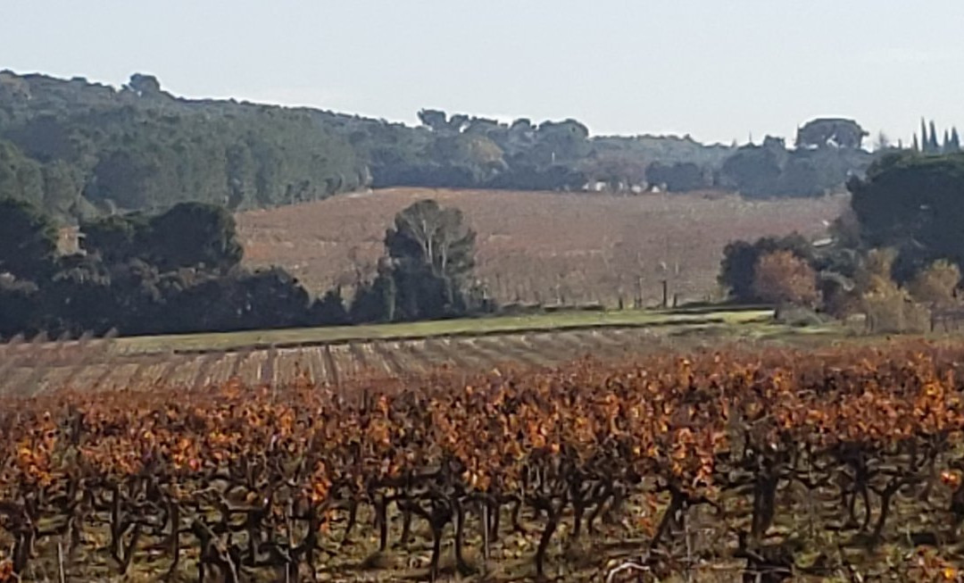 Chateau Saint Esteve-Uchaux必去景点