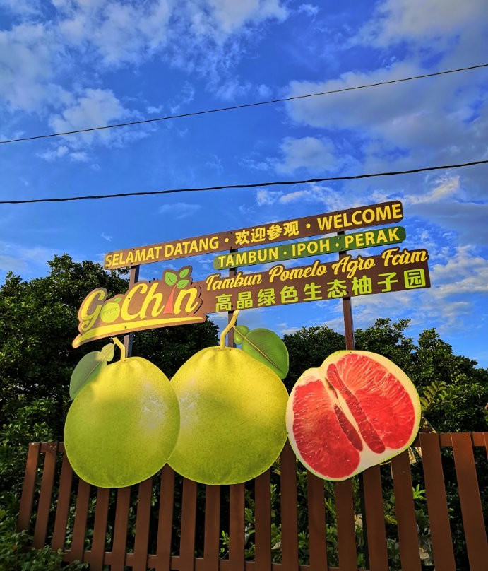 Go Chin Pomelo Nature Park景点图片