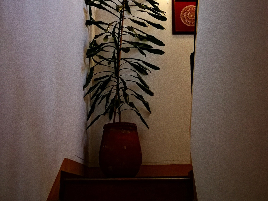 Casa Do Fundo - Sustainable & Ecotourism主图