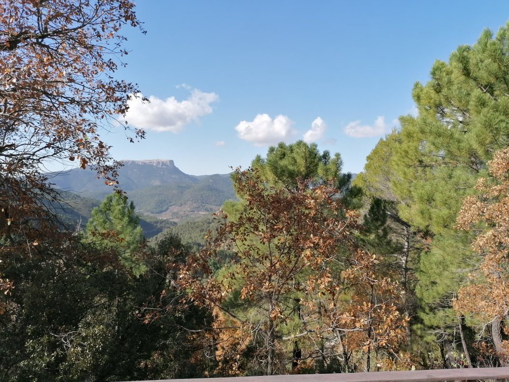 Las Salegas del Maguillo主图