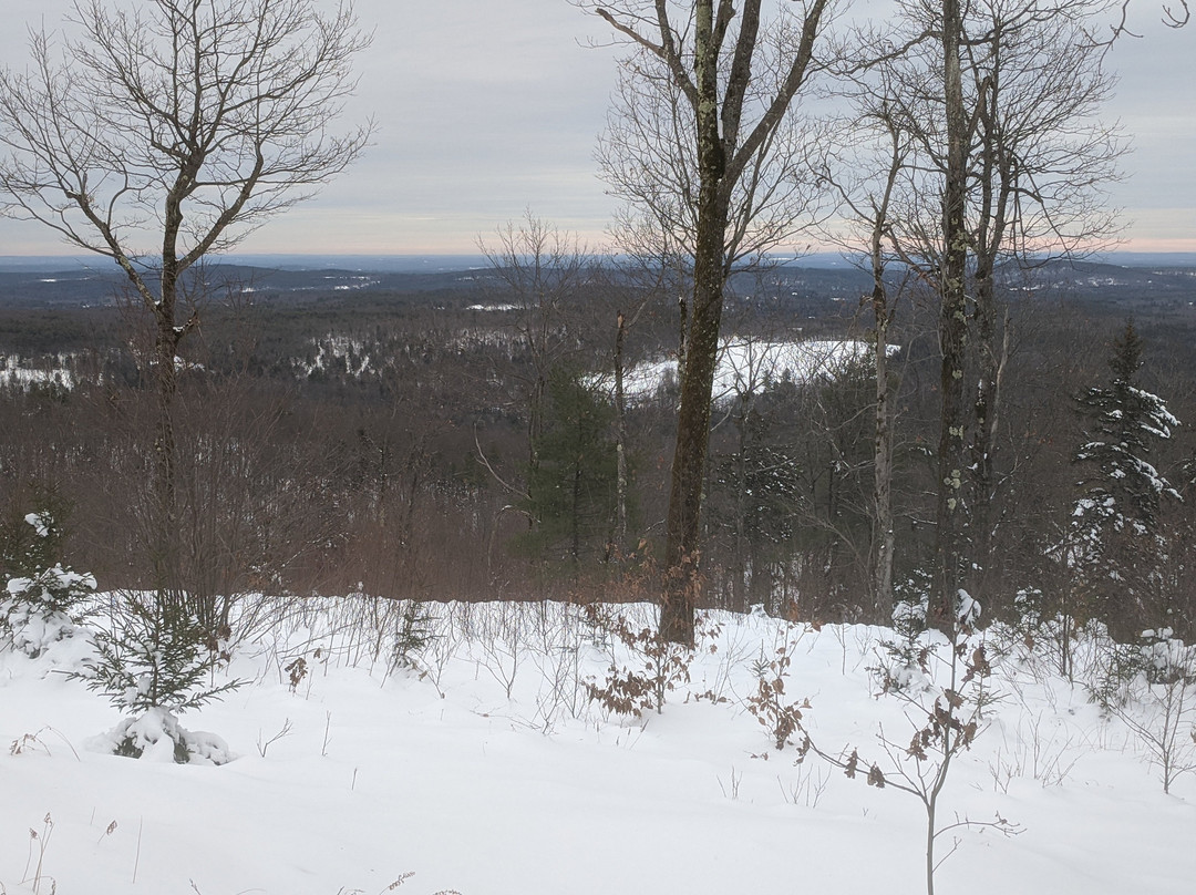 Windblown Cross Country Skiing and Snowshoeing景点图片