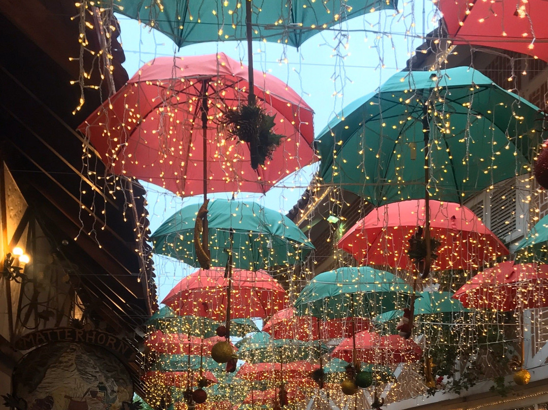 Praça São Benedito-坎普斯－杜若尔当必去景点