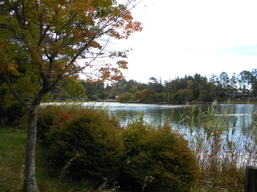 Tateshina Lake景点图片