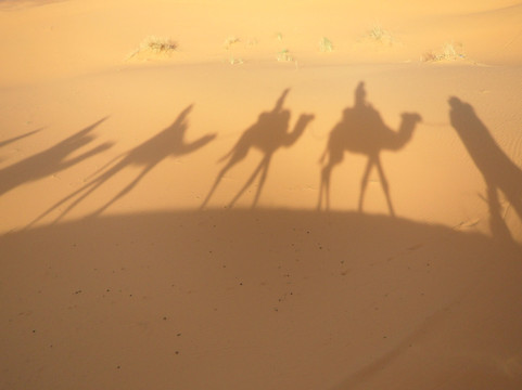 F & K TRIPS-非斯必去景点