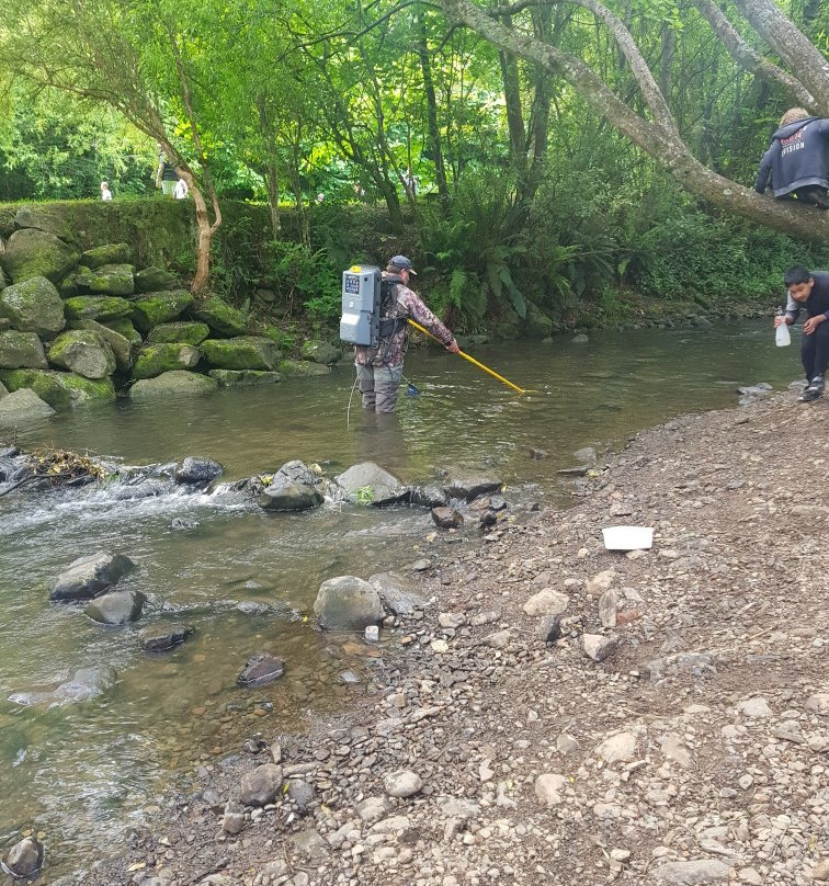 Chingford Park-但尼丁必去景点