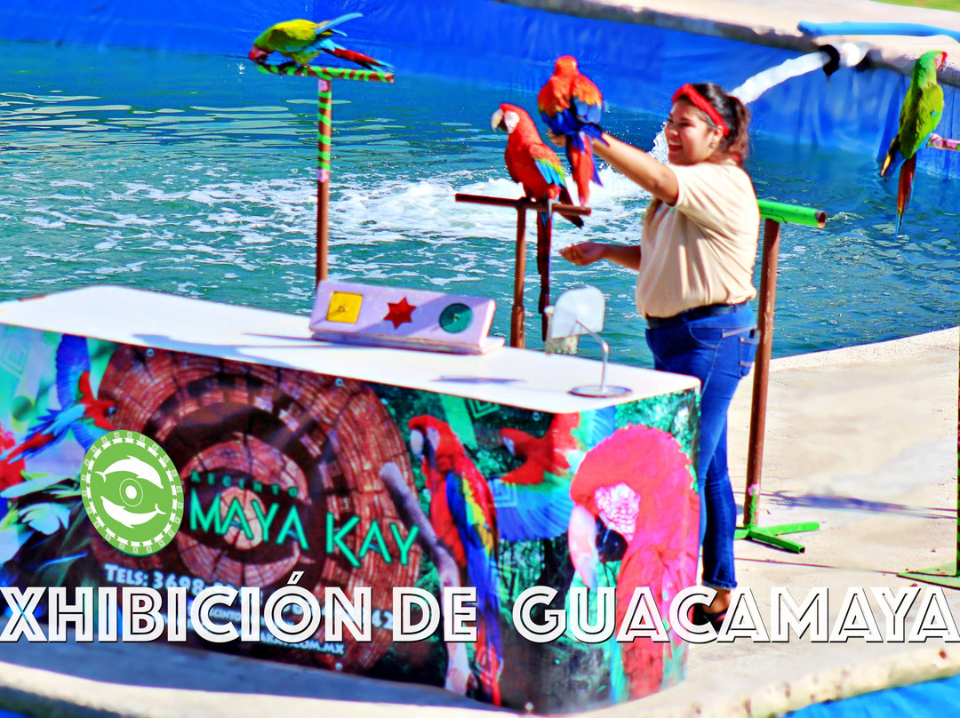 Recinto Maya Kay-Chantepec (El Chante)必去景点