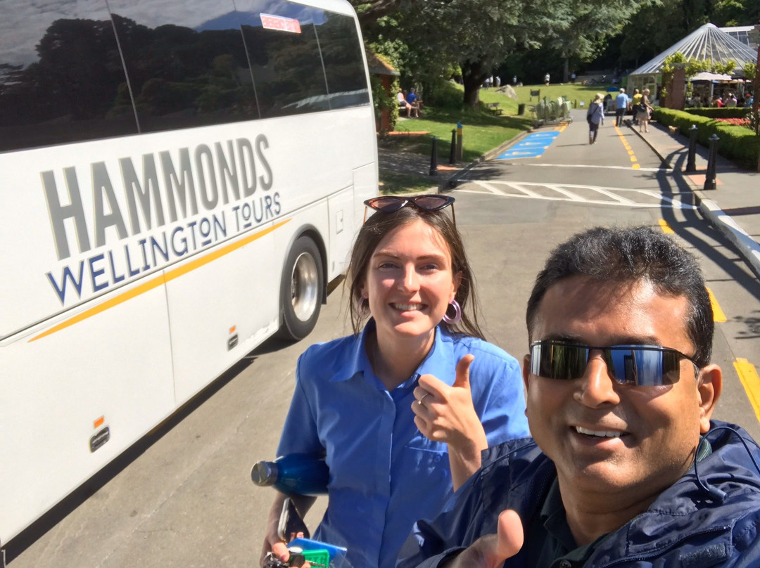 Hammonds Wellington Tours-惠灵顿必去景点