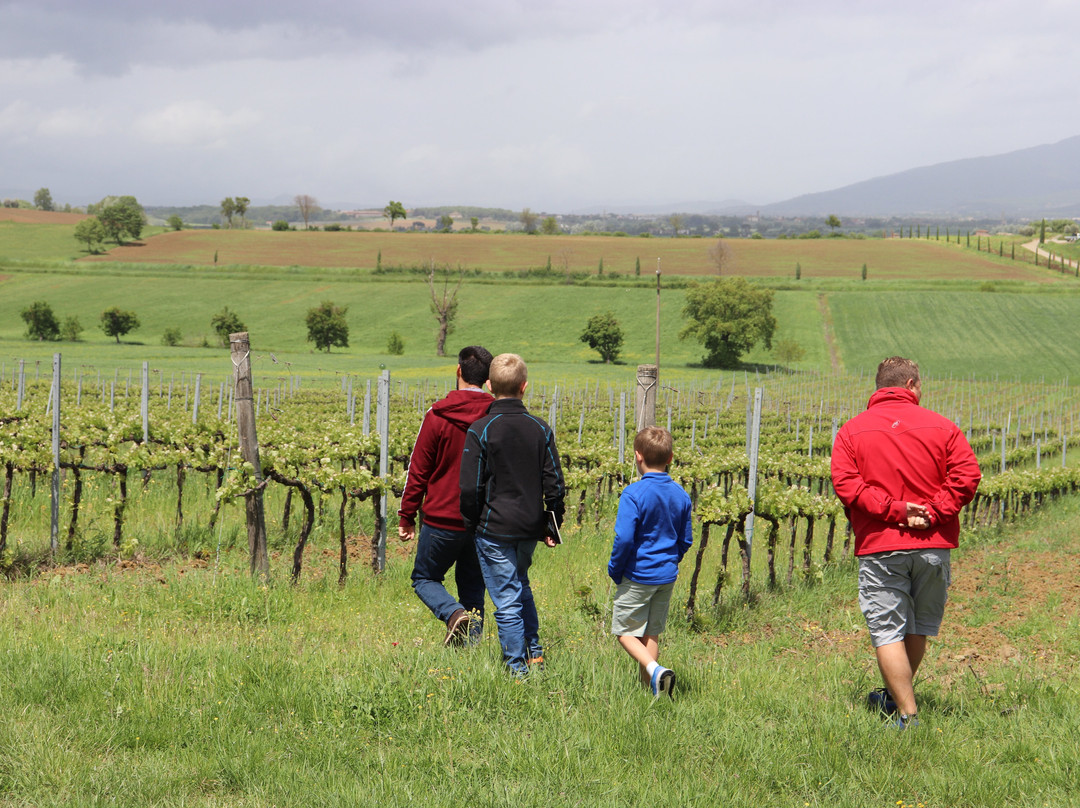 Winery Fattoria Cantagallo