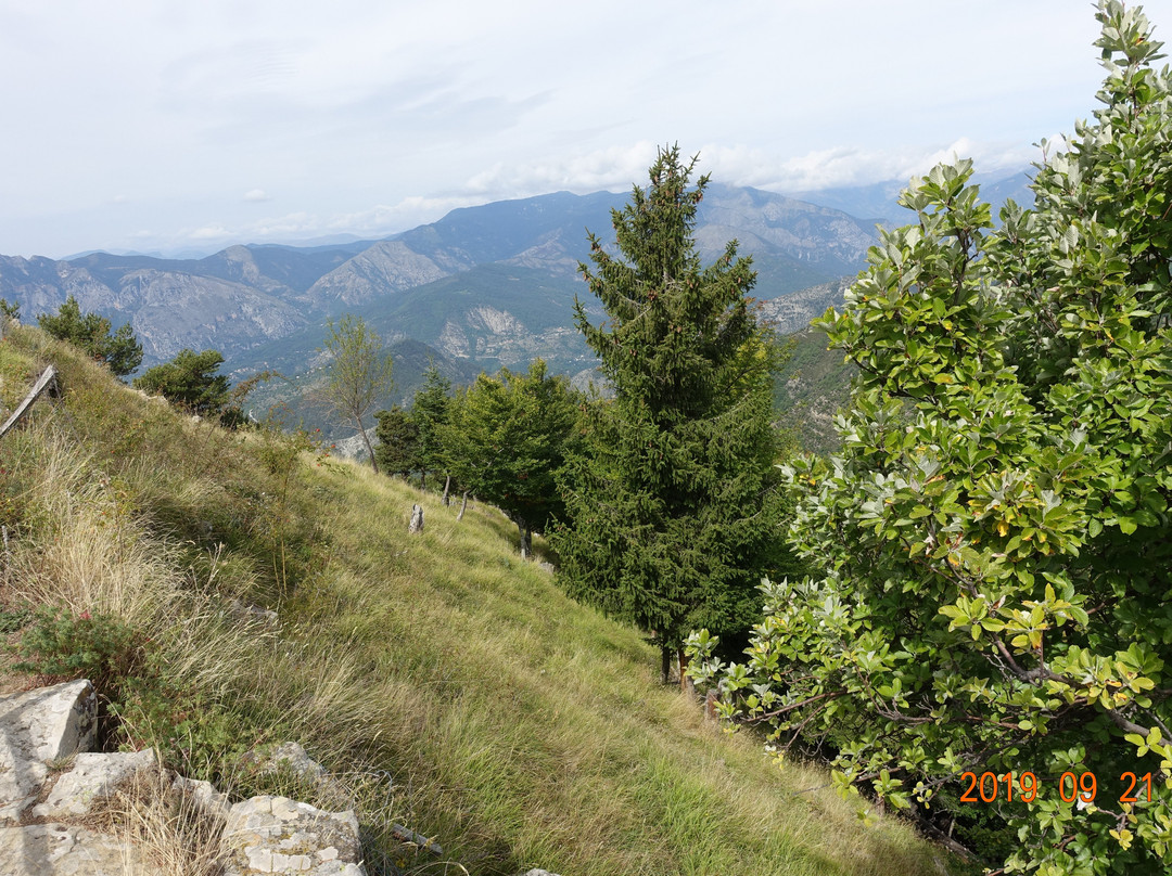 Col de Turini景点图片