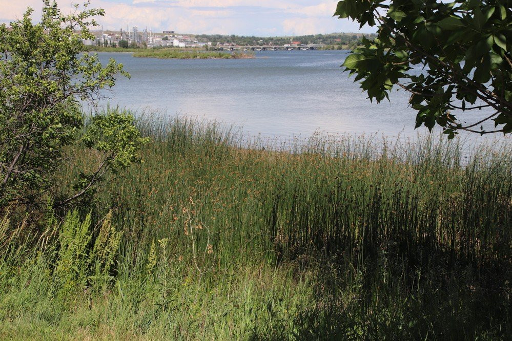 West Bank Park-大瀑布市必去景点