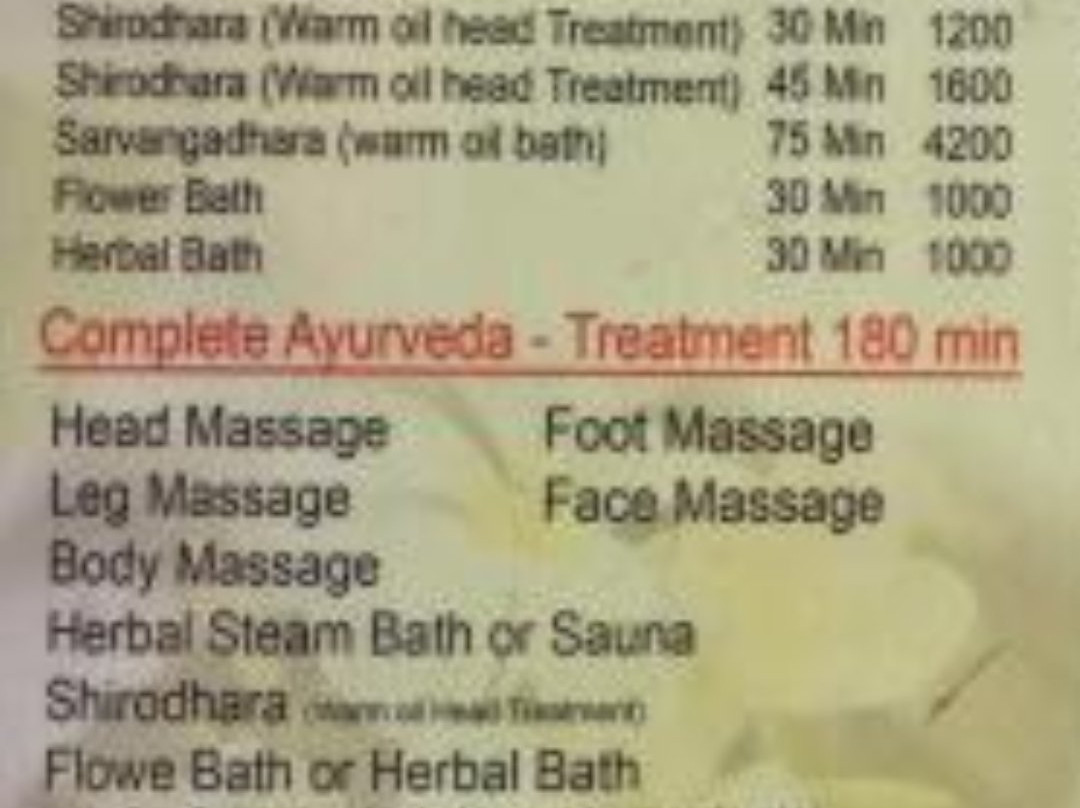 Jasmin Villa Ayurvedic Resort - Day Spa景点图片