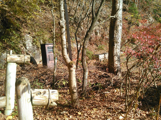 Forest of Tokyo Citizen-桧原村必去景点