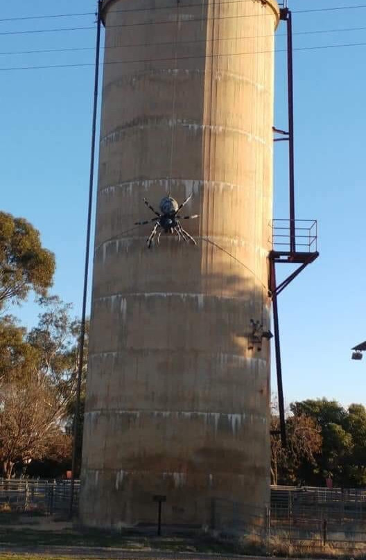 The Big Spider景点图片