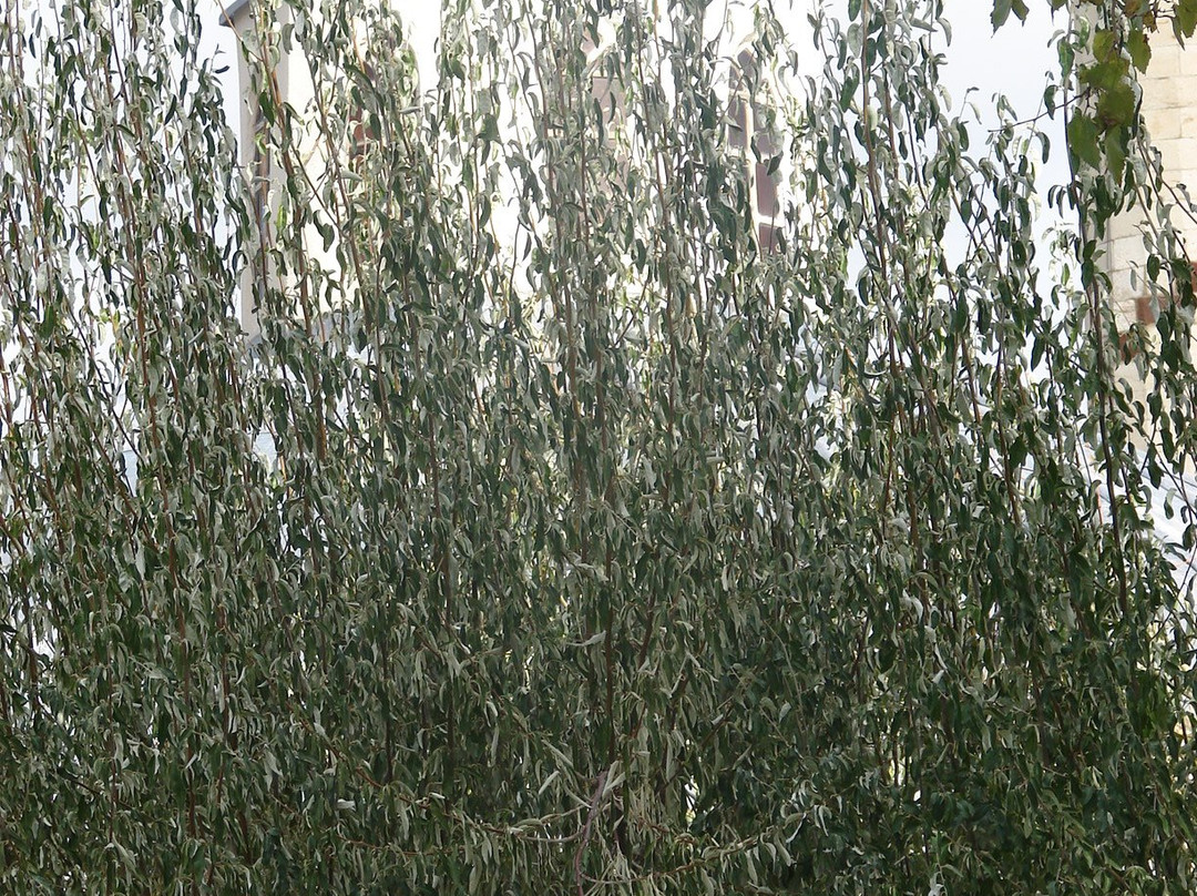 Cimsit Bey Hamamı-Elazig必去景点