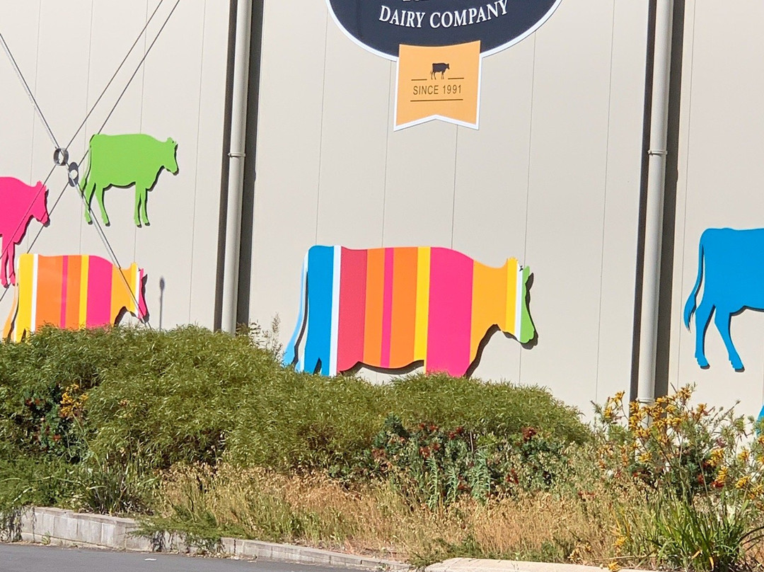 Margaret River Dairy Company景点图片