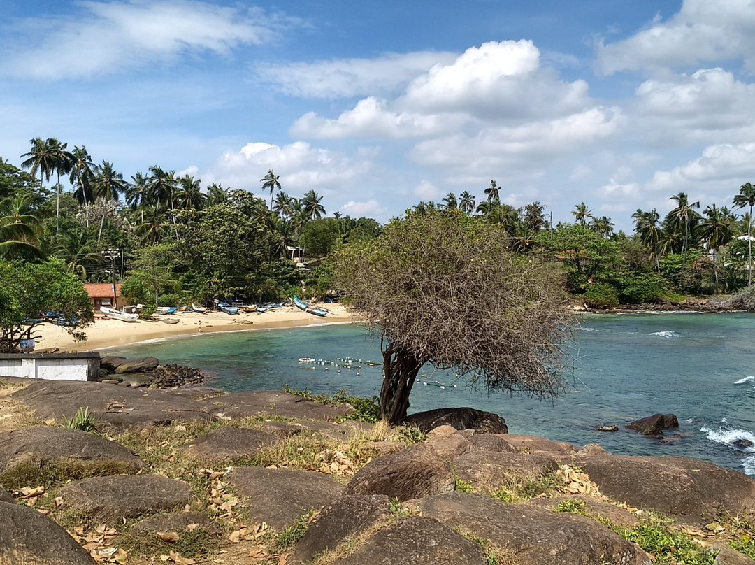 EW Lanka Tours-康提必去景点