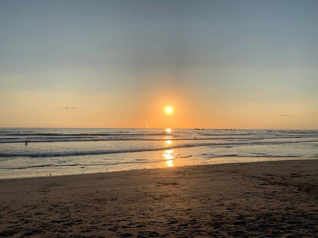 The Gilded Iguana Surf Hotel主图