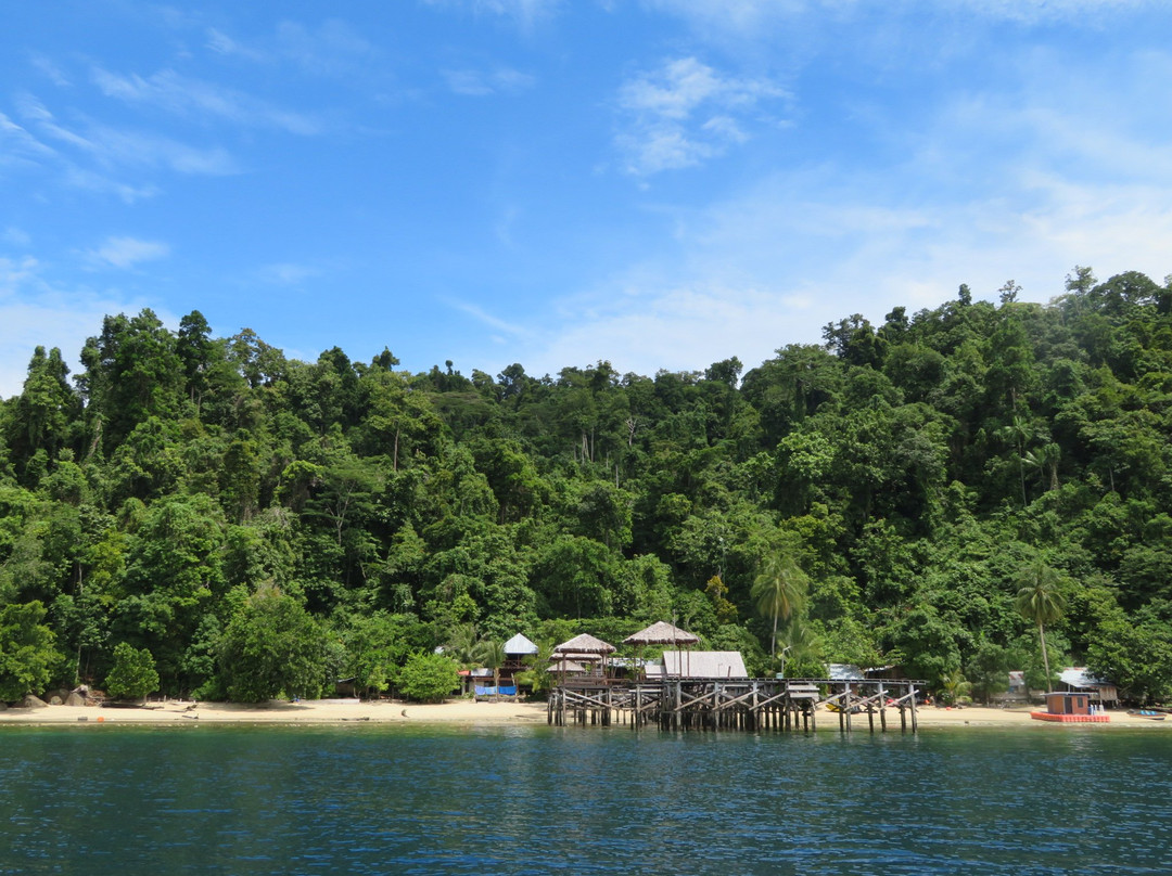 Kali Lemon Dive Resort主图