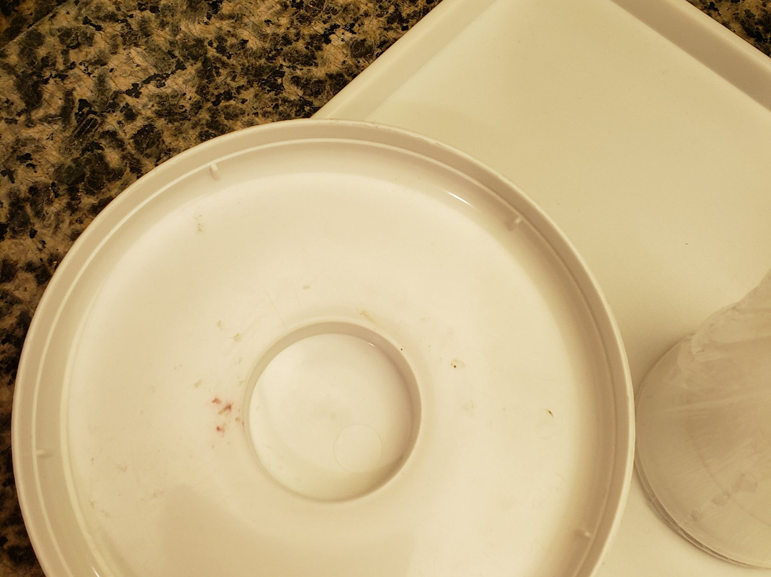 Best Western Plaquemine Inn主图