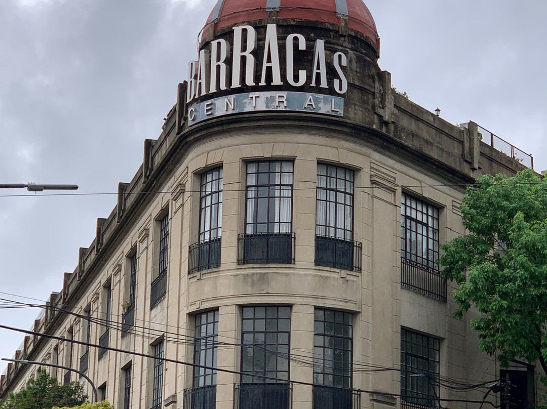 Calle Lanin-布宜诺斯艾利斯必去景点