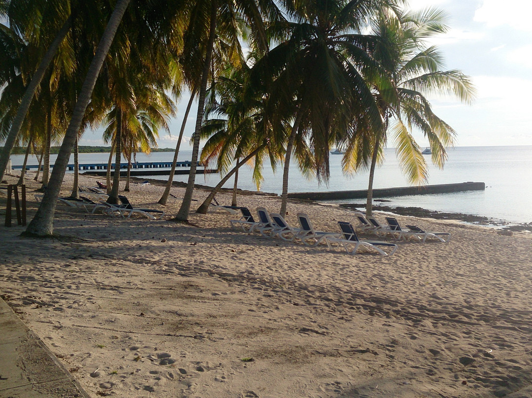 Maria La Gorda主图