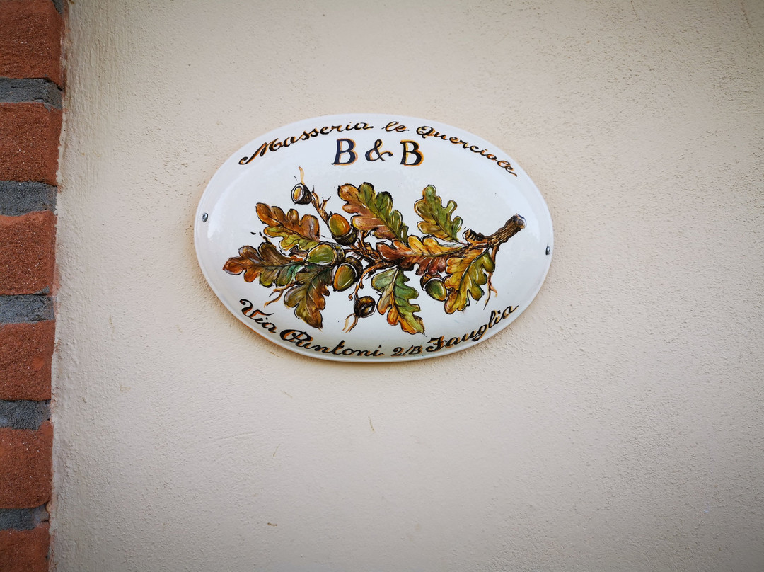 B&B Masseria le Querciole主图