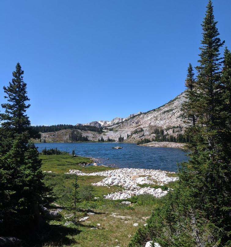 Lewis Lake Picnic Site景点图片