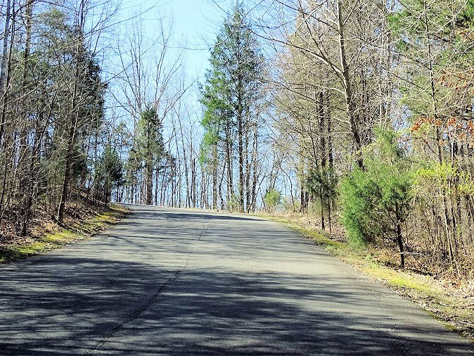 Beaman Park Nature Center景点图片