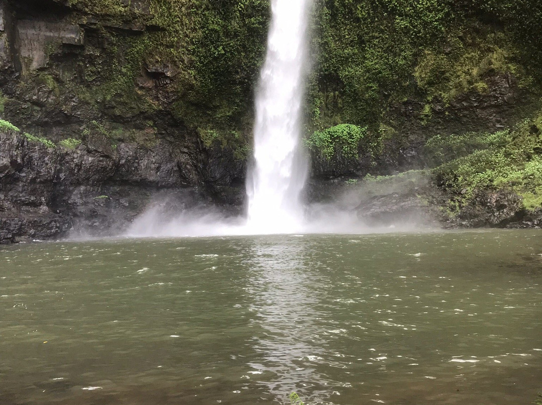 Nandroya Falls- 阿瑟顿必去景点