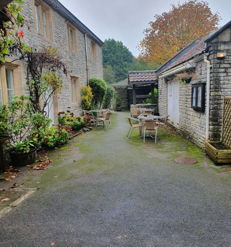 Burcott Mill Guesthouse主图