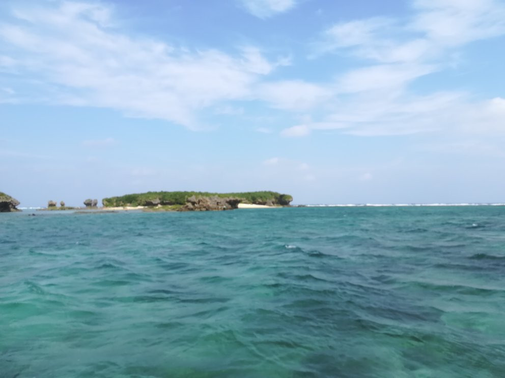 Bird Island景点图片