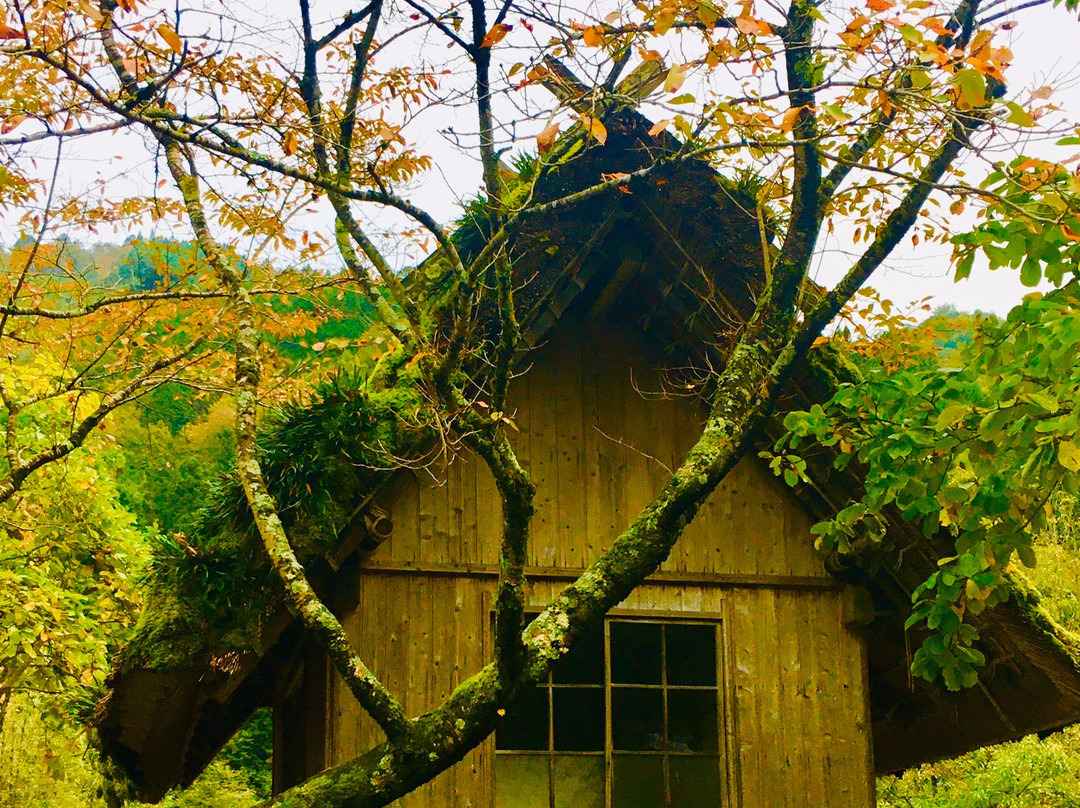 Miyama Town Nature Cultural Village景点图片