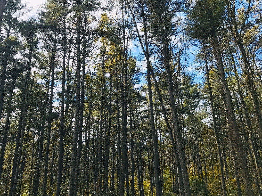 Beaver Creek State Park-East Liverpool必去景点