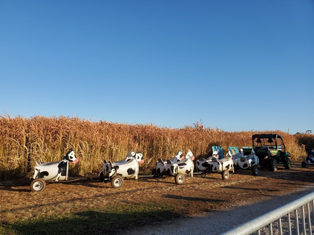 Rutledge-Wilson Farm Community Park-斯普林菲尔德必去景点