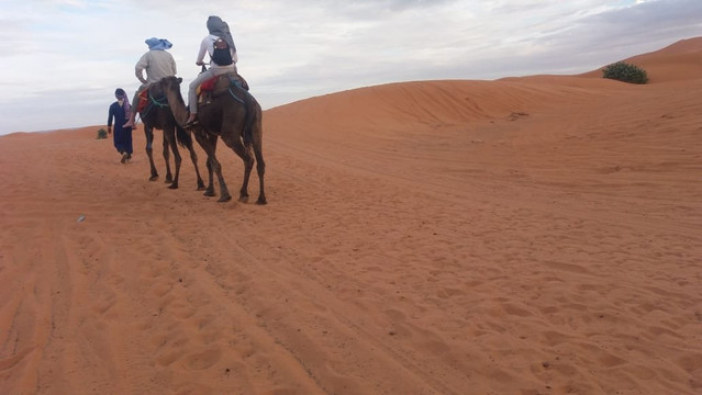 Disfruta Marruecos-马拉喀什必去景点