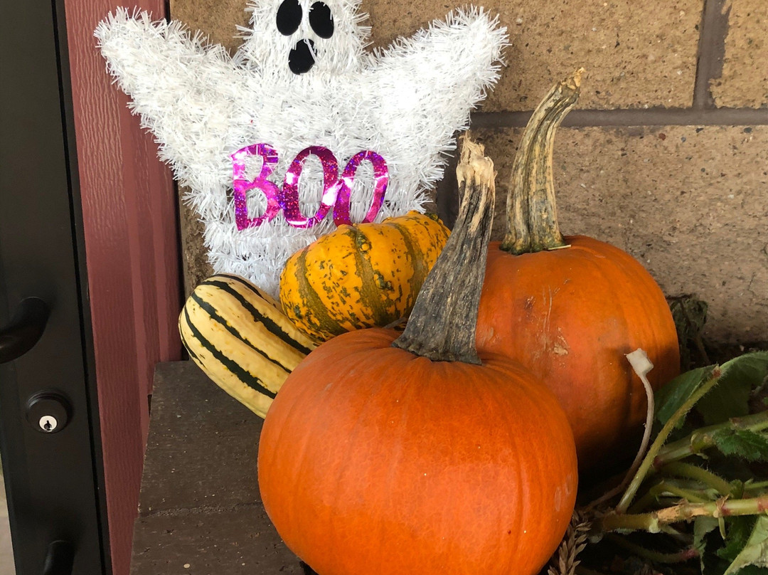 Lake Nokomis Cranberries