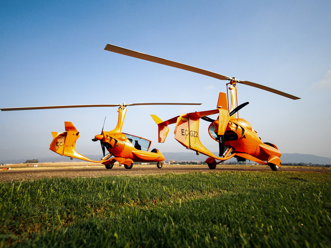 Falcon View Tours-科尔多瓦必去景点