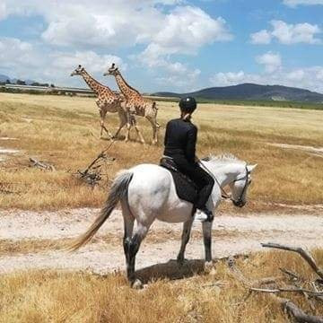 Horse Rides at Pete's-斯泰伦博斯必去景点