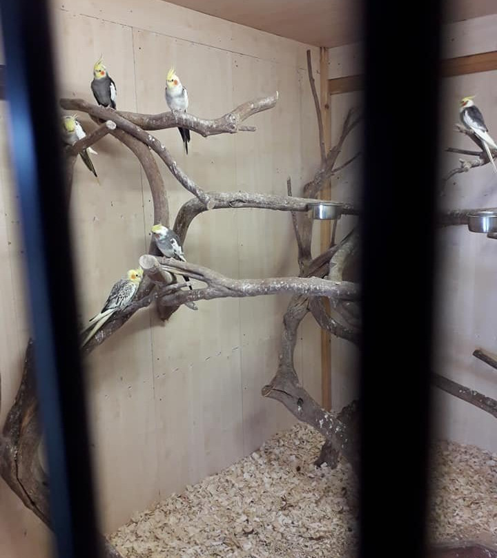 Lurgybrack Open Farm-County Donegal必去景点