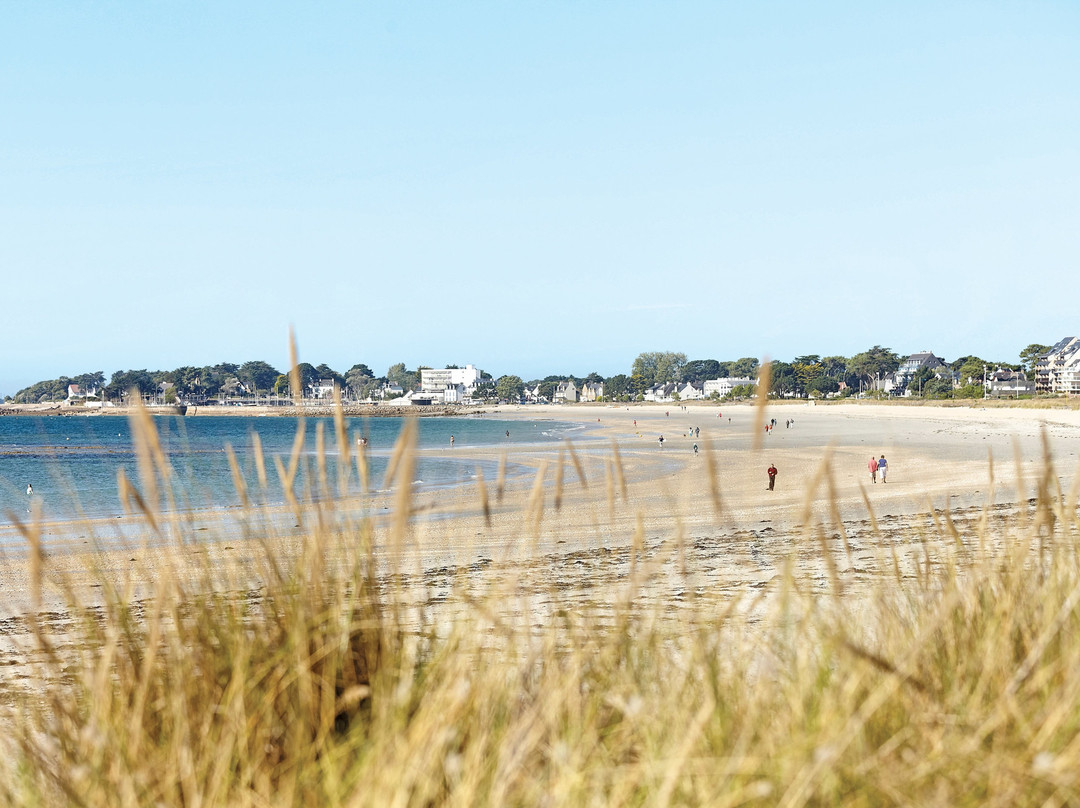 Thalazur Carnac Hotel主图