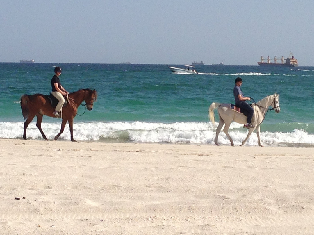 Salalah Horse Riding-塞拉莱必去景点