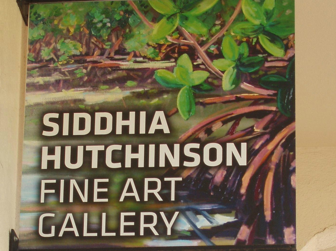 Siddhia Hutchinson Fine Art Gallery景点图片