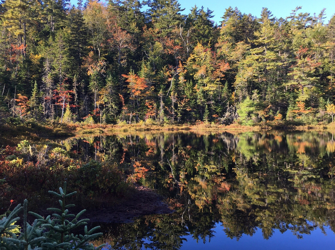 Crowbar Lake Hiking Trails景点图片