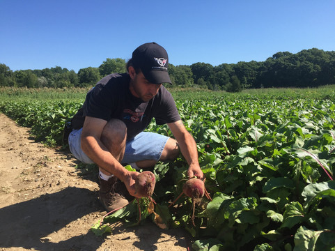 Almeida's Vegetable Patch-Swansea必去景点
