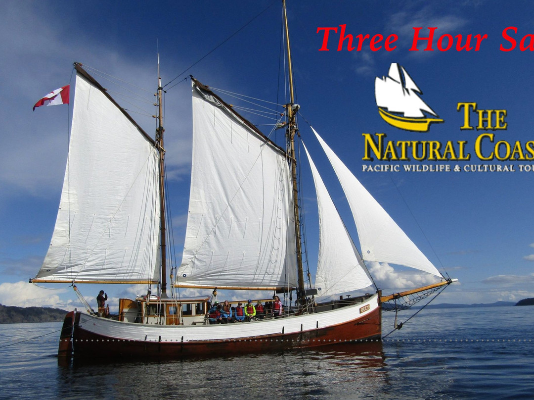 3-Hour Sail-维多利亚必去景点